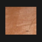 meranti